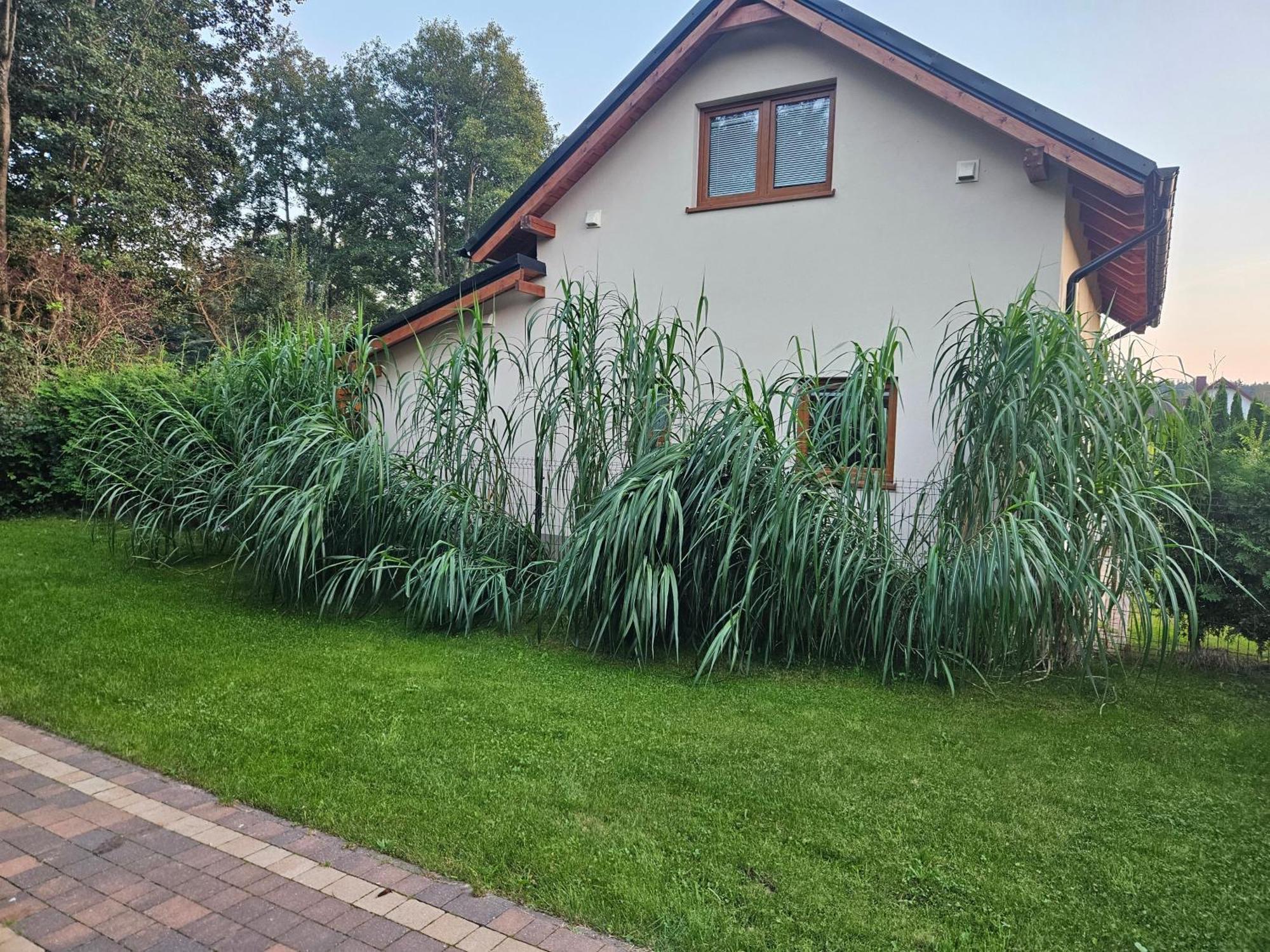 Osada Cztery Pory Roku -Dom Lato Villa Kopalino Exterior foto